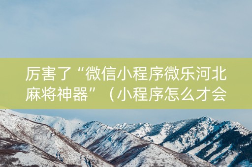 厉害了“微信小程序微乐河北麻将神器”（小程序怎么才会赢)