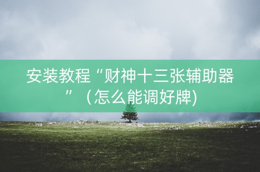 安装教程“财神十三张辅助器”（怎么能调好牌)