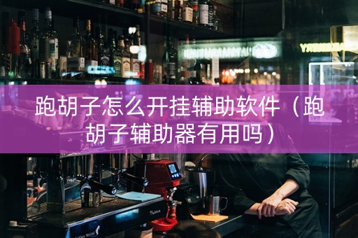 跑胡子怎么开挂辅助软件（跑胡子辅助器有用吗）