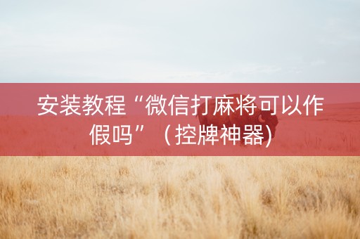 安装教程“微信打麻将可以作假吗”（控牌神器)