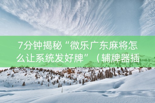 7分钟揭秘“微乐广东麻将怎么让系统发好牌”（辅牌器插件购买)
