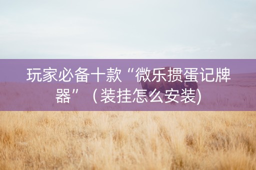玩家必备十款“微乐掼蛋记牌器”（装挂怎么安装)