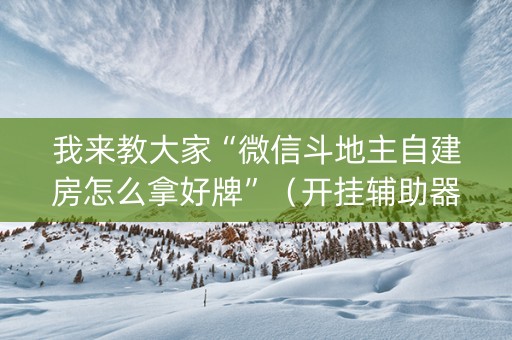 我来教大家“微信斗地主自建房怎么拿好牌”（开挂辅助器插件)