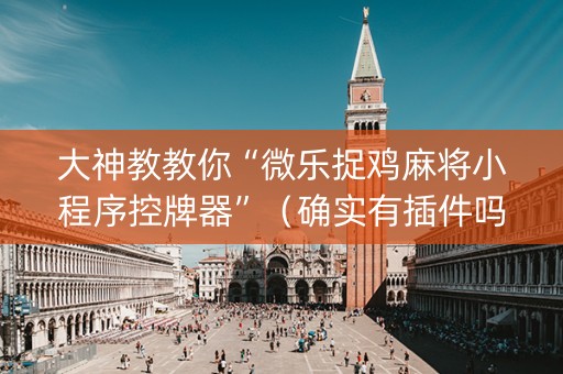 大神教教你“微乐捉鸡麻将小程序控牌器”（确实有插件吗)