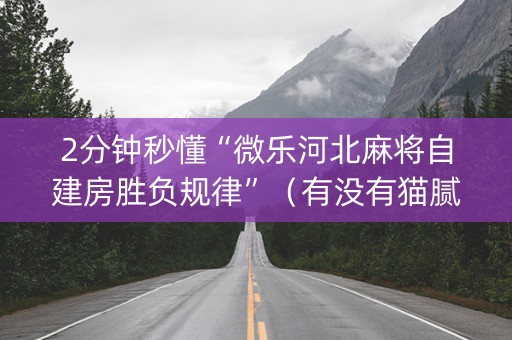 2分钟秒懂“微乐河北麻将自建房胜负规律”（有没有猫腻)