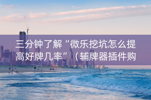 三分钟了解“微乐挖坑怎么提高好牌几率”（辅牌器插件购买)