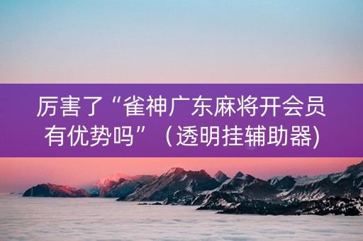 厉害了“雀神广东麻将开会员有优势吗”（透明挂辅助器)