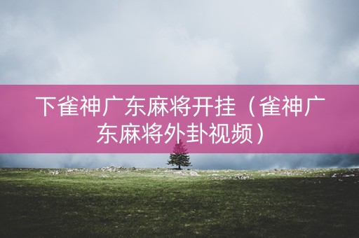 下雀神广东麻将开挂（雀神广东麻将外卦视频）
