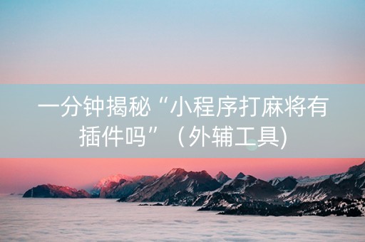 一分钟揭秘“小程序打麻将有插件吗”（外辅工具)