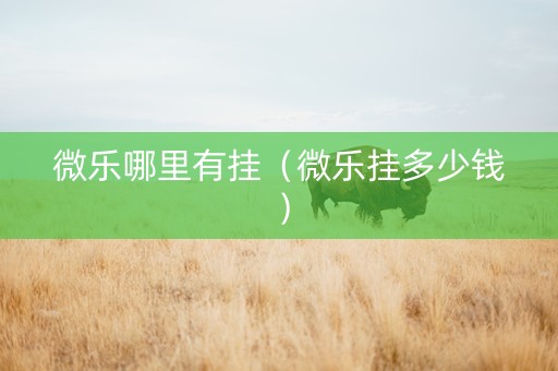 微乐哪里有挂（微乐挂多少钱）