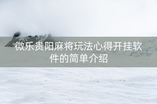 微乐贵阳麻将玩法心得开挂软件的简单介绍