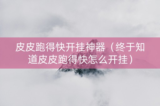 皮皮跑得快开挂神器（终于知道皮皮跑得快怎么开挂）
