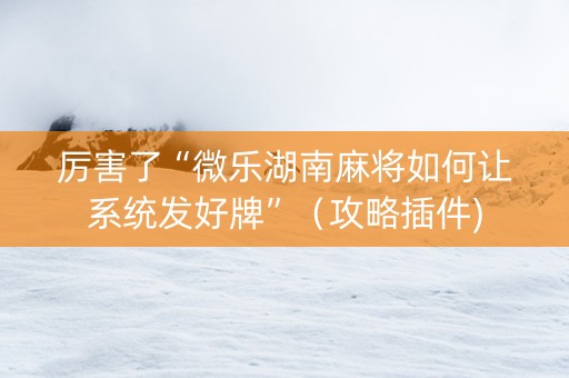 厉害了“微乐湖南麻将如何让系统发好牌”（攻略插件)