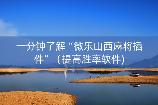 一分钟了解“微乐山西麻将插件”（提高胜率软件)