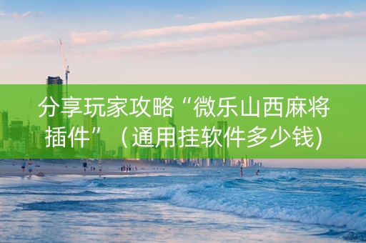 分享玩家攻略“微乐山西麻将插件”（通用挂软件多少钱)