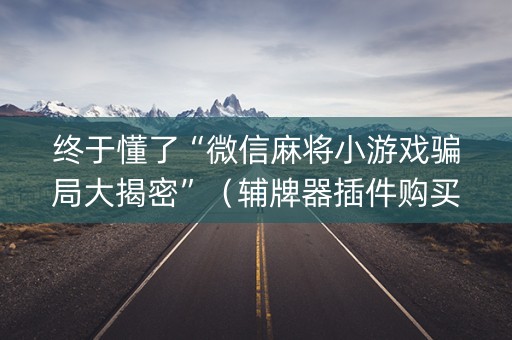 终于懂了“微信麻将小游戏骗局大揭密”（辅牌器插件购买)