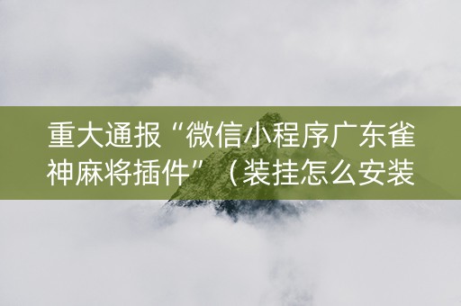 重大通报“微信小程序广东雀神麻将插件”（装挂怎么安装)