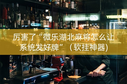 厉害了“微乐湖北麻将怎么让系统发好牌”（软挂神器)