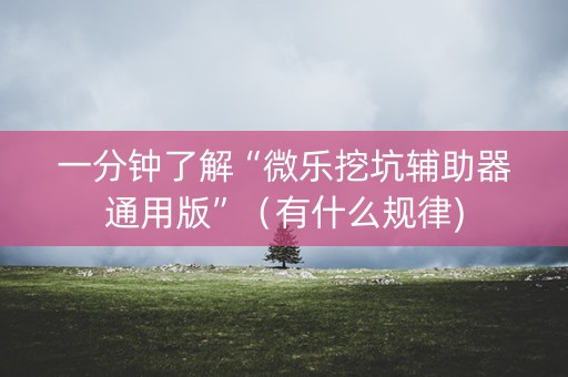 一分钟了解“微乐挖坑辅助器通用版”（有什么规律)