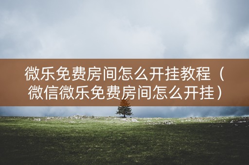 微乐免费房间怎么开挂教程（微信微乐免费房间怎么开挂）