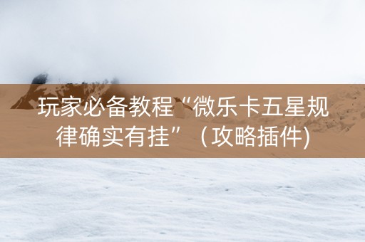 玩家必备教程“微乐卡五星规律确实有挂”（攻略插件)