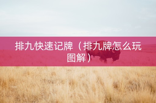 排九快速记牌（排九牌怎么玩图解）