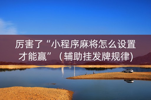 厉害了“小程序麻将怎么设置才能赢”（辅助挂发牌规律)