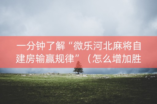 一分钟了解“微乐河北麻将自建房输赢规律”（怎么增加胜率)