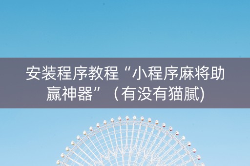 安装程序教程“小程序麻将助赢神器”（有没有猫腻)