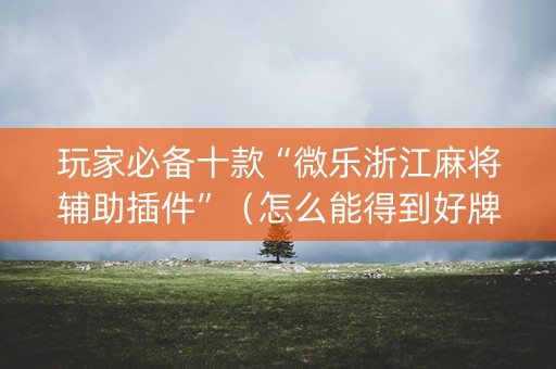 玩家必备十款“微乐浙江麻将辅助插件”（怎么能得到好牌)