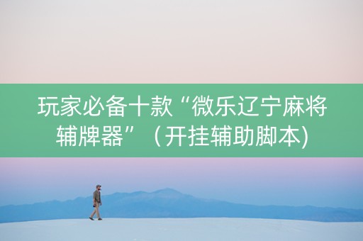 玩家必备十款“微乐辽宁麻将辅牌器”（开挂辅助脚本)