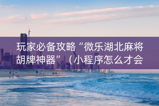 玩家必备攻略“微乐湖北麻将胡牌神器”（小程序怎么才会赢)