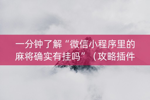 一分钟了解“微信小程序里的麻将确实有挂吗”（攻略插件)