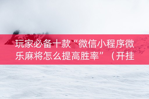 玩家必备十款“微信小程序微乐麻将怎么提高胜率”（开挂辅助插件)