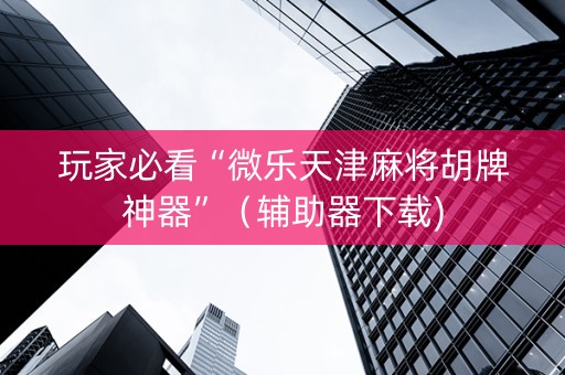 玩家必看“微乐天津麻将胡牌神器”（辅助器下载)