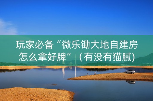 玩家必备“微乐锄大地自建房怎么拿好牌”（有没有猫腻)