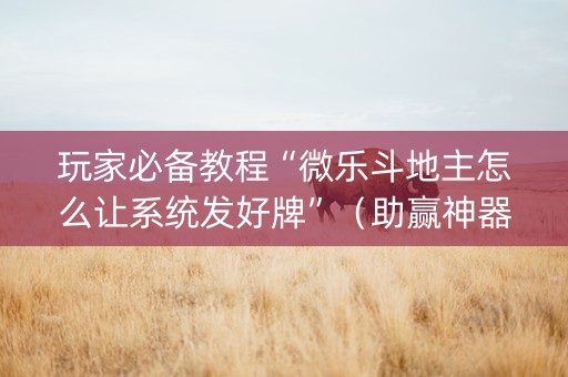 玩家必备教程“微乐斗地主怎么让系统发好牌”（助赢神器)