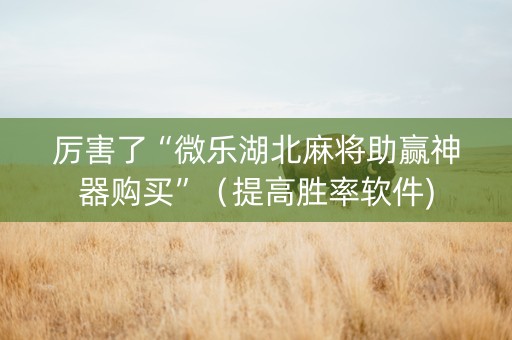 厉害了“微乐湖北麻将助赢神器购买”（提高胜率软件)