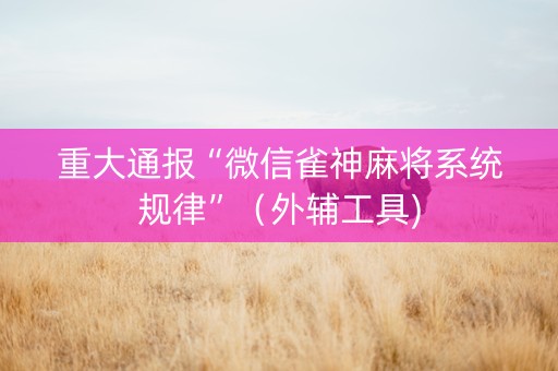 重大通报“微信雀神麻将系统规律”（外辅工具)