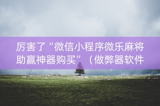 厉害了“微信小程序微乐麻将助赢神器购买”（做弊器软件下载)