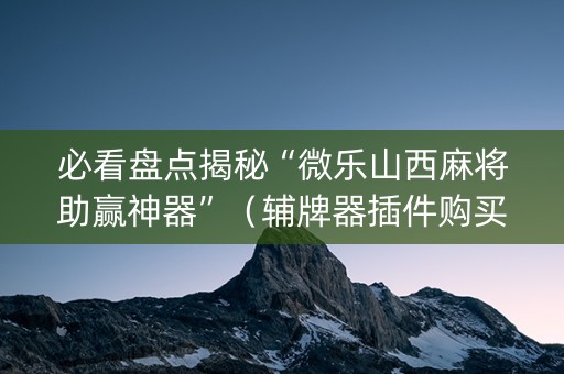 必看盘点揭秘“微乐山西麻将助赢神器”（辅牌器插件购买)