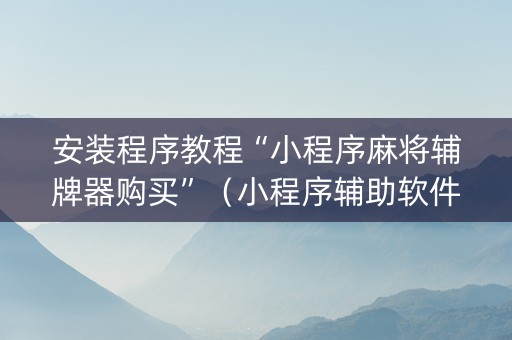 安装程序教程“小程序麻将辅牌器购买”（小程序辅助软件)