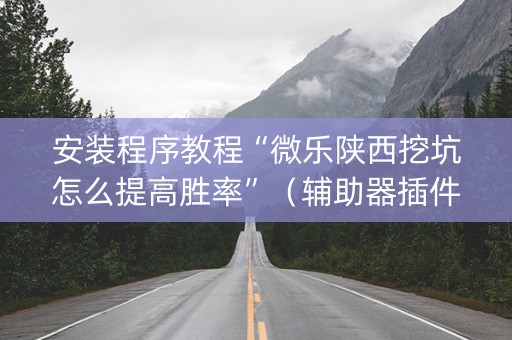 安装程序教程“微乐陕西挖坑怎么提高胜率”（辅助器插件)