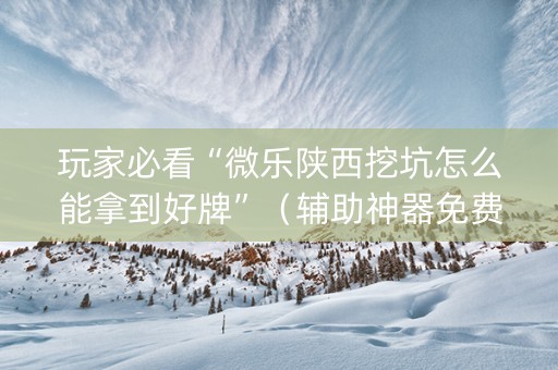 玩家必看“微乐陕西挖坑怎么能拿到好牌”（辅助神器免费)