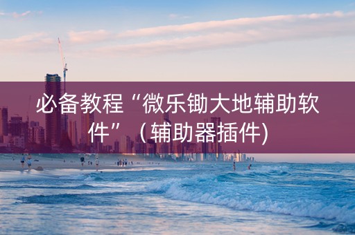 必备教程“微乐锄大地辅助软件”（辅助器插件)