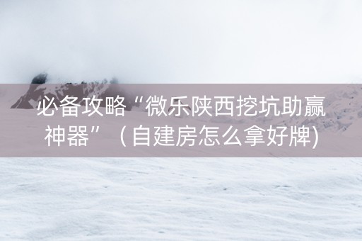 必备攻略“微乐陕西挖坑助赢神器”（自建房怎么拿好牌)