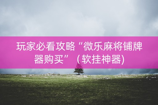 玩家必看攻略“微乐麻将铺牌器购买”（软挂神器)