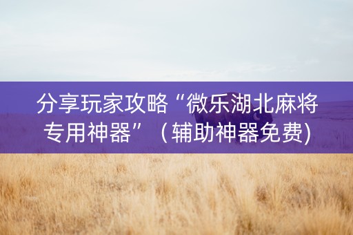 分享玩家攻略“微乐湖北麻将专用神器”（辅助神器免费)