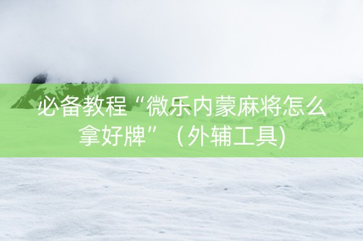 必备教程“微乐内蒙麻将怎么拿好牌”（外辅工具)