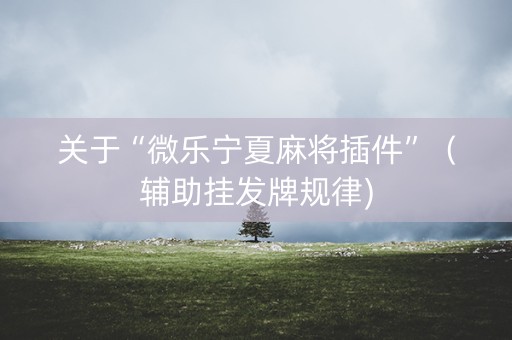 关于“微乐宁夏麻将插件”（辅助挂发牌规律)